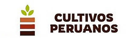 logo06